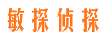 通河敏探私家侦探公司